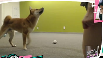 Braless Twitch Streamer spielt mit Doggo