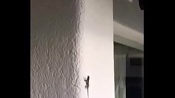 Brave lizards catch on the wall