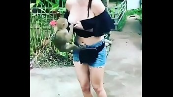 Macaco mostrando os peitos de uma garota