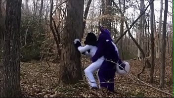 Fursuit Couple Mating in Woods