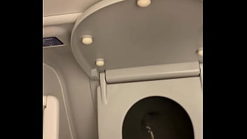 pee to the toilet on the plane
