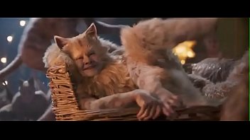 Cats, full movie