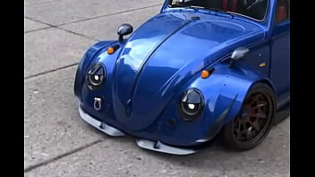 beetle hood