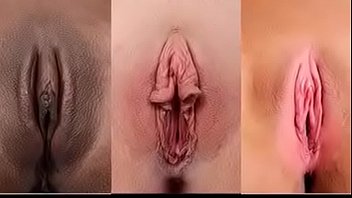 Types et formes de vajinas