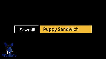 Puppy Sandwich at Sawmill