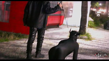 Master takes his pet dog for a walk in the City. P1