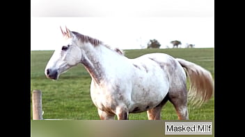 Horny Milf prende una compilation di dildo di cazzo di cavallo gigante | Milf mascherata