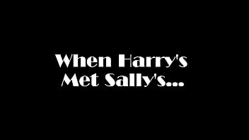 SIMS 4: When Harry's Met Sally's - a Parody