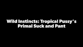 Tropicalpussy - aggiornamento n. 22 - Wild Instincts: Primal Suck and Pant di Tropical Pussy - 26 dicembre 2023