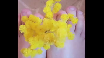 Feet scented with mimosa