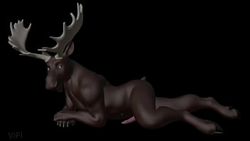 Gay Furry Porn Compilation (Moose Edition)