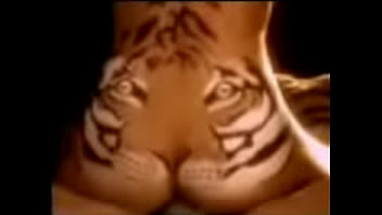 tigress eating its prey